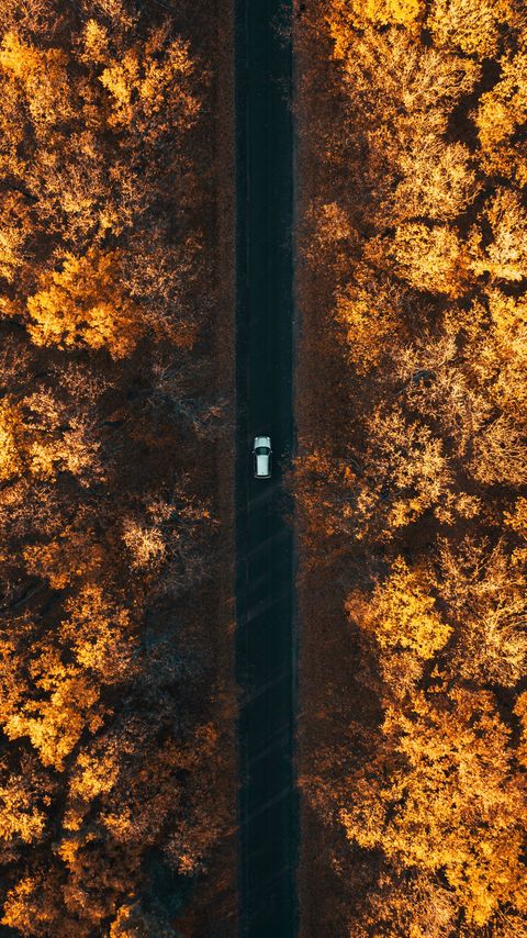 Download wallpaper 2160x3840 road, aerial view, autumn, trees, car, forest, below samsung galaxy s4, s5, note, sony xperia z, z1, z2, z3, htc one, lenovo vibe hd background