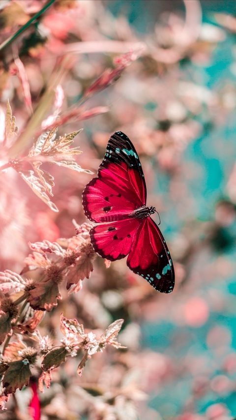 Download wallpaper 2160x3840 butterfly, wings, insect, grass, bright, macro samsung galaxy s4, s5, note, sony xperia z, z1, z2, z3, htc one, lenovo vibe hd background