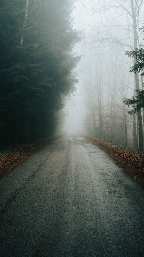 Download wallpaper 2160x3840 fog, road, trees, branches, autumn samsung galaxy s4, s5, note, sony xperia z, z1, z2, z3, htc one, lenovo vibe hd background