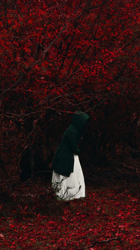 Download wallpaper 2160x3840 man, hood, forest, lonely, loneliness, autumn, foliage, red samsung galaxy s4, s5, note, sony xperia z, z1, z2, z3, htc one, lenovo vibe hd background