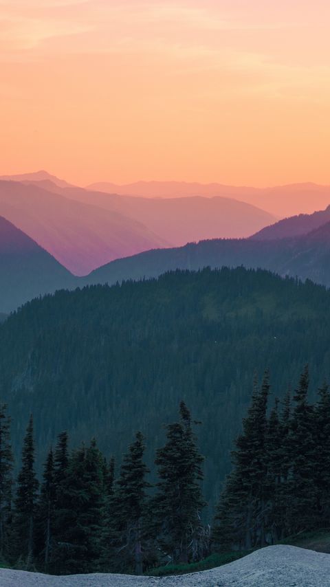 Download wallpaper 2160x3840 mountains, sky, top view, trees, sunset samsung galaxy s4, s5, note, sony xperia z, z1, z2, z3, htc one, lenovo vibe hd background