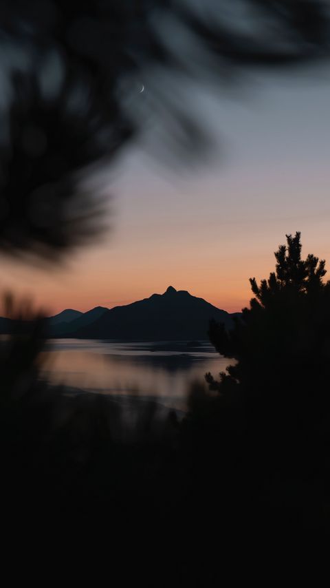 Download wallpaper 2160x3840 mountains, sunset, branches, blur, night samsung galaxy s4, s5, note, sony xperia z, z1, z2, z3, htc one, lenovo vibe hd background
