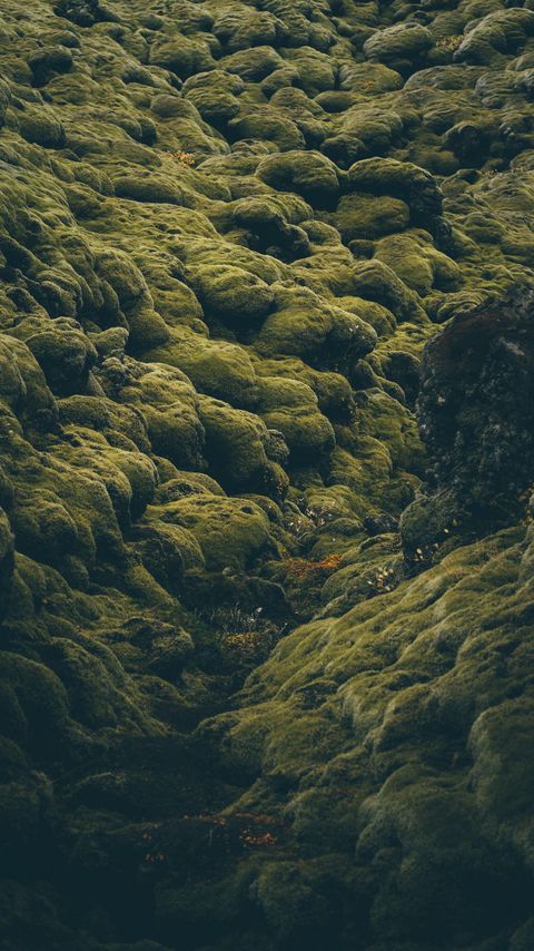 Download wallpaper 2160x3840 stones, moss, covered, iceland, pale, green samsung galaxy s4, s5, note, sony xperia z, z1, z2, z3, htc one, lenovo vibe hd background