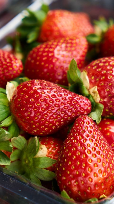 Download wallpaper 2160x3840 strawberries, berries, ripe, juicy, red samsung galaxy s4, s5, note, sony xperia z, z1, z2, z3, htc one, lenovo vibe hd background