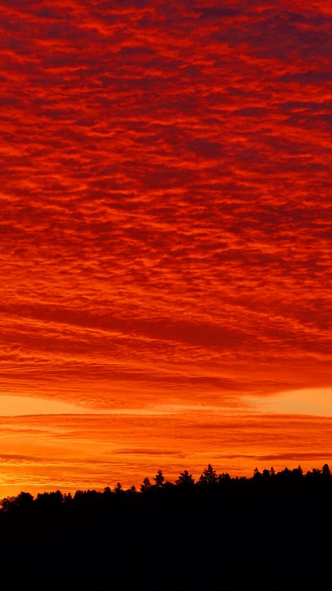 Download wallpaper 2160x3840 sunset, clouds, fiery, forest, twilight, bright samsung galaxy s4, s5, note, sony xperia z, z1, z2, z3, htc one, lenovo vibe hd background