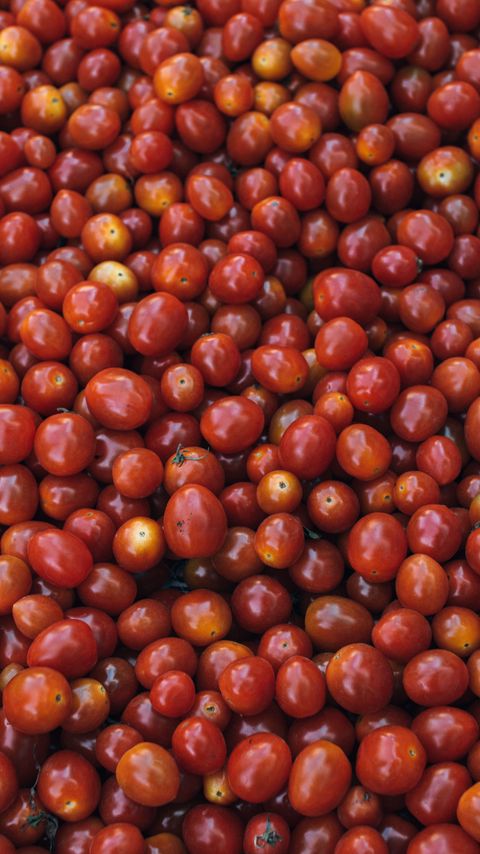 Download wallpaper 2160x3840 tomatoes, ripe, vegetables samsung galaxy s4, s5, note, sony xperia z, z1, z2, z3, htc one, lenovo vibe hd background
