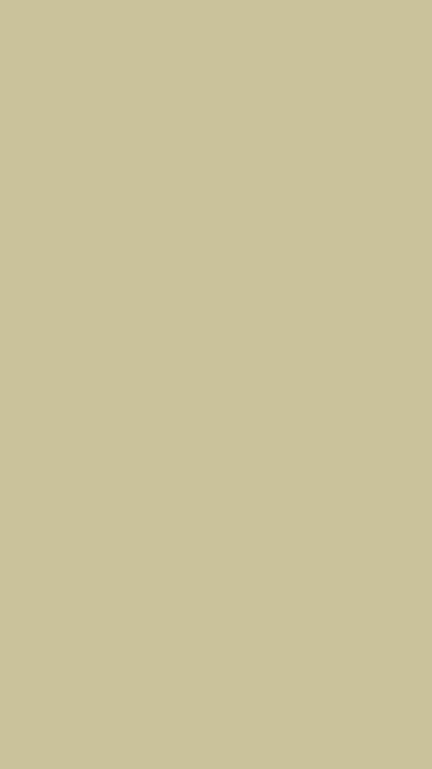 Download wallpaper 2160x3840 beige, color, background, monochrome, minimalism samsung galaxy s4, s5, note, sony xperia z, z1, z2, z3, htc one, lenovo vibe hd background