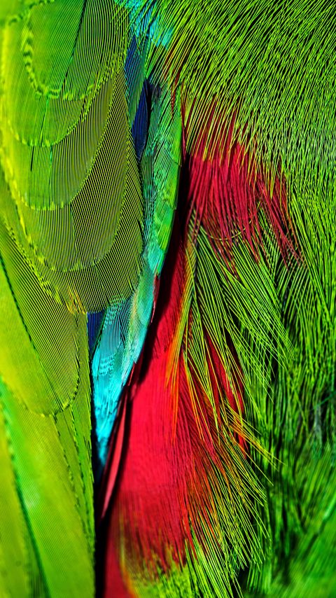 Download wallpaper 2160x3840 feathers, colorful, bright, iridescent, colors samsung galaxy s4, s5, note, sony xperia z, z1, z2, z3, htc one, lenovo vibe hd background