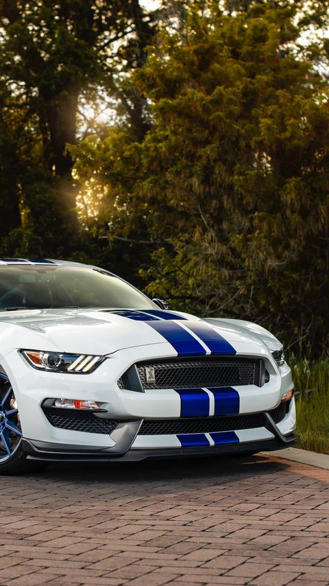 Download wallpaper 2160x3840 ford mustang gt350, ford, car, sportscar, white, side view samsung galaxy s4, s5, note, sony xperia z, z1, z2, z3, htc one, lenovo vibe hd background