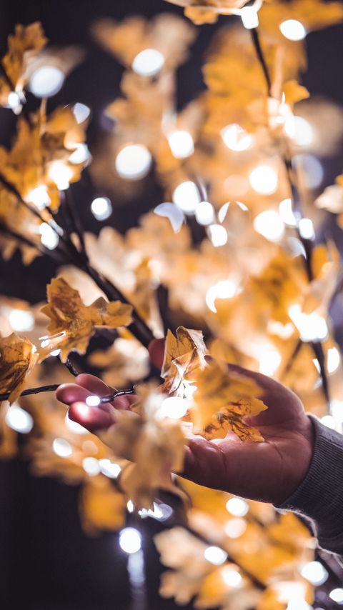 Download wallpaper 2160x3840 hand, branches, garland, leaves, glare, blur samsung galaxy s4, s5, note, sony xperia z, z1, z2, z3, htc one, lenovo vibe hd background