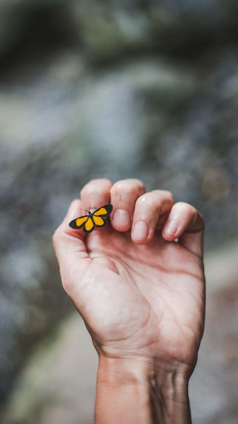 Download wallpaper 2160x3840 hand, butterfly, touch, fingers samsung galaxy s4, s5, note, sony xperia z, z1, z2, z3, htc one, lenovo vibe hd background