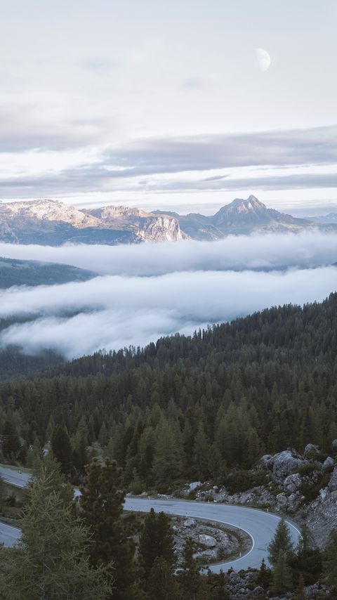 Download wallpaper 2160x3840 mountains, forest, fog, clouds, landscape samsung galaxy s4, s5, note, sony xperia z, z1, z2, z3, htc one, lenovo vibe hd background