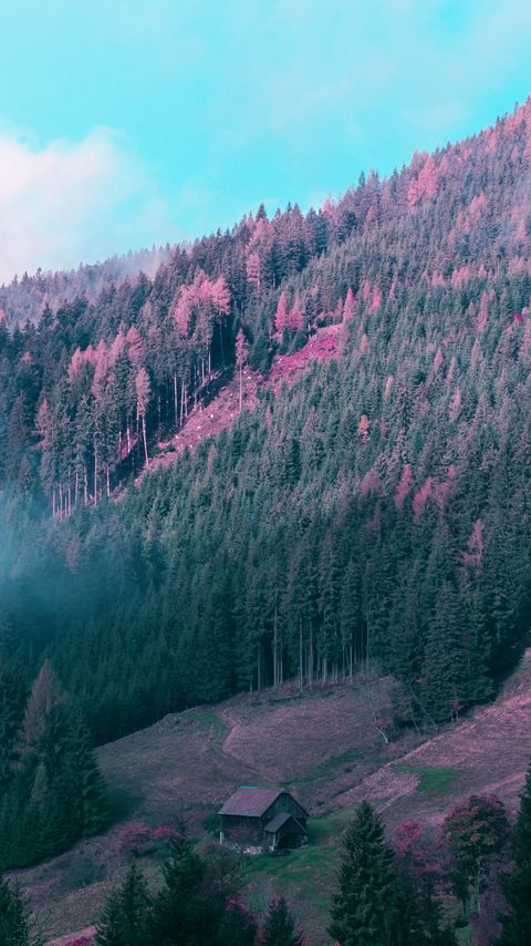 Download wallpaper 2160x3840 mountains, house, trees, forest, fog samsung galaxy s4, s5, note, sony xperia z, z1, z2, z3, htc one, lenovo vibe hd background
