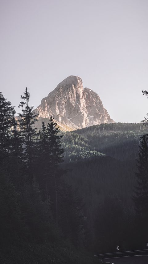 Download wallpaper 2160x3840 mountains, trees, top, forest, landscape samsung galaxy s4, s5, note, sony xperia z, z1, z2, z3, htc one, lenovo vibe hd background