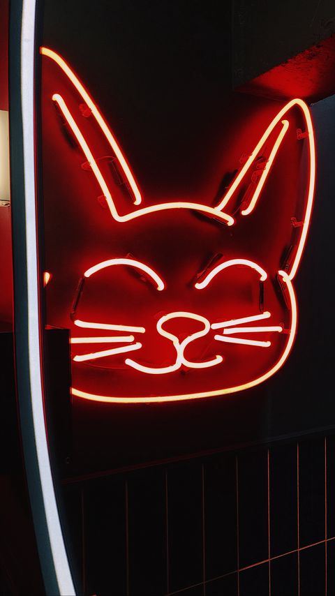 Download wallpaper 2160x3840 neon, sign, cat, light, red samsung galaxy s4, s5, note, sony xperia z, z1, z2, z3, htc one, lenovo vibe hd background
