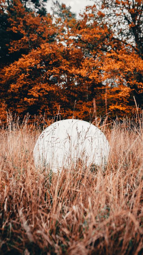 Download wallpaper 2160x3840 ball, white, grass, trees, nature samsung galaxy s4, s5, note, sony xperia z, z1, z2, z3, htc one, lenovo vibe hd background
