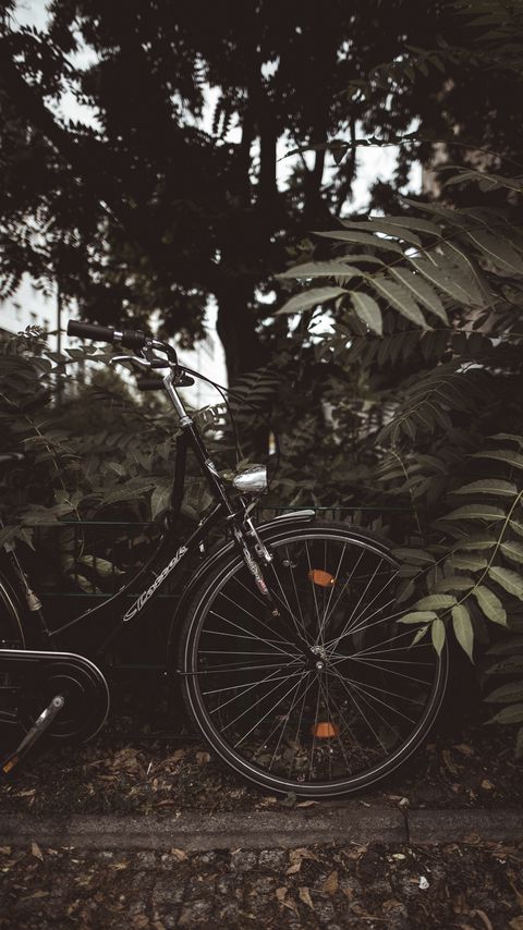 Download wallpaper 2160x3840 bicycle, branches, leaves, trees, dark samsung galaxy s4, s5, note, sony xperia z, z1, z2, z3, htc one, lenovo vibe hd background