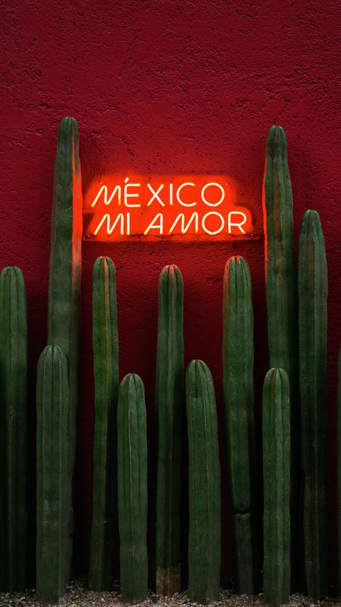 Download wallpaper 2160x3840 cacti, sign, neon, text, red samsung galaxy s4, s5, note, sony xperia z, z1, z2, z3, htc one, lenovo vibe hd background