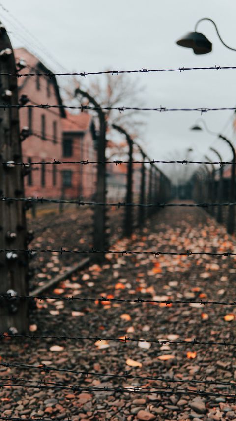 Download wallpaper 2160x3840 fence, barbed wire, wire, spikes samsung galaxy s4, s5, note, sony xperia z, z1, z2, z3, htc one, lenovo vibe hd background