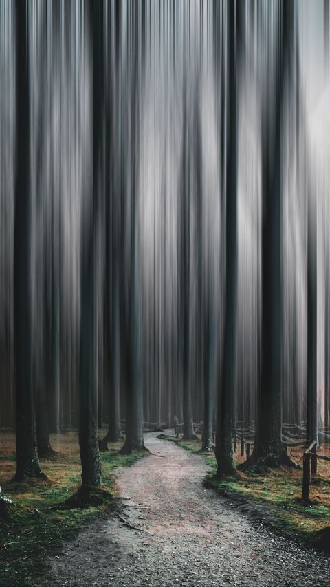Download wallpaper 2160x3840 forest, path, trees, blur, illusion samsung galaxy s4, s5, note, sony xperia z, z1, z2, z3, htc one, lenovo vibe hd background