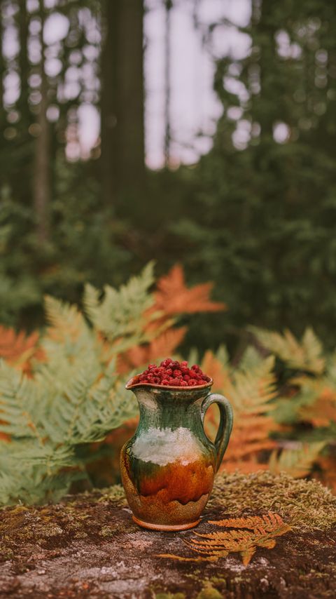 Download wallpaper 2160x3840 jug, raspberries, berries, nature, autumn samsung galaxy s4, s5, note, sony xperia z, z1, z2, z3, htc one, lenovo vibe hd background