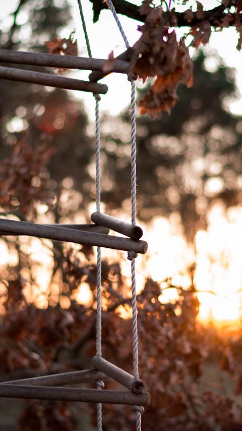 Download wallpaper 2160x3840 ladder, rope, tree, sunset, autumn samsung galaxy s4, s5, note, sony xperia z, z1, z2, z3, htc one, lenovo vibe hd background