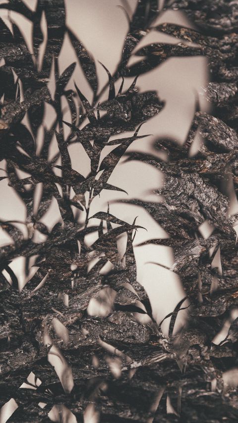 Download wallpaper 2160x3840 leaves, branches, outlines, double exposure, macro samsung galaxy s4, s5, note, sony xperia z, z1, z2, z3, htc one, lenovo vibe hd background