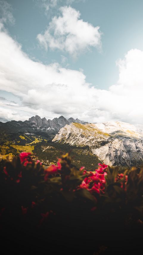 Download wallpaper 2160x3840 mountains, flowers, clouds, peaks, height samsung galaxy s4, s5, note, sony xperia z, z1, z2, z3, htc one, lenovo vibe hd background