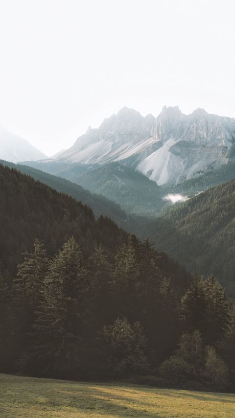 Download wallpaper 2160x3840 mountains, forest, fog, slopes, trees samsung galaxy s4, s5, note, sony xperia z, z1, z2, z3, htc one, lenovo vibe hd background