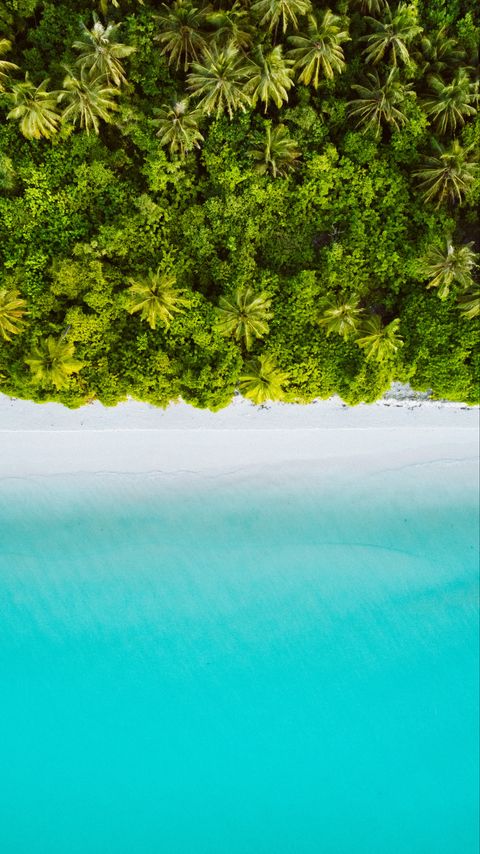 Download wallpaper 2160x3840 palm trees, ocean, aerial view, maldives, tropics, beach samsung galaxy s4, s5, note, sony xperia z, z1, z2, z3, htc one, lenovo vibe hd background