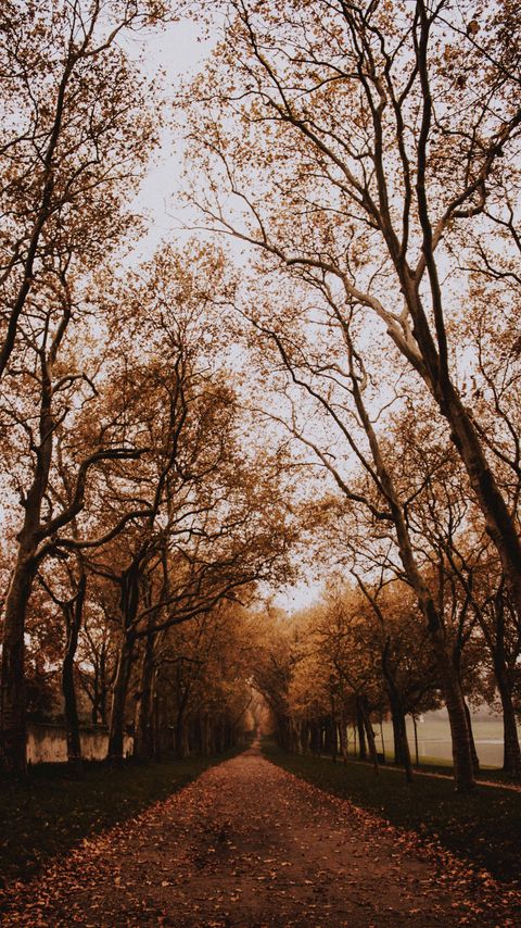 Download wallpaper 2160x3840 park, path, trees, alley, autumn samsung galaxy s4, s5, note, sony xperia z, z1, z2, z3, htc one, lenovo vibe hd background