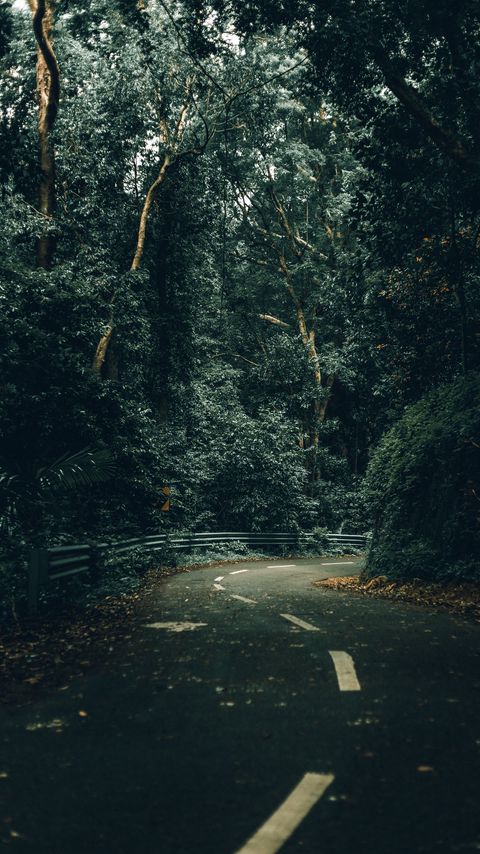 Download wallpaper 2160x3840 road, turn, trees, forest, nature samsung galaxy s4, s5, note, sony xperia z, z1, z2, z3, htc one, lenovo vibe hd background