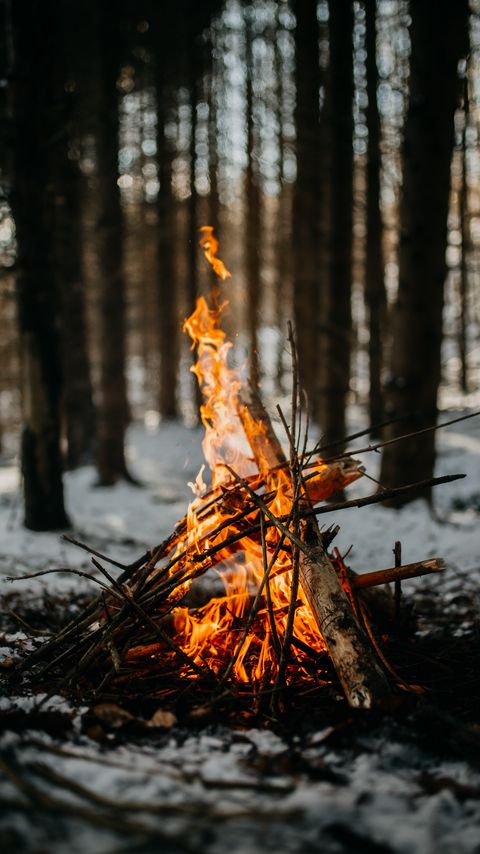 Download wallpaper 2160x3840 bonfire, fire, flame, branches samsung galaxy s4, s5, note, sony xperia z, z1, z2, z3, htc one, lenovo vibe hd background