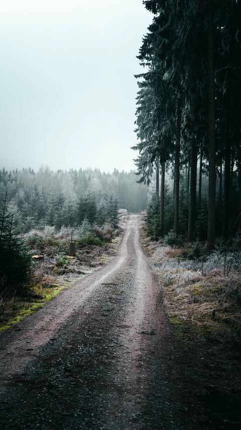 Download wallpaper 2160x3840 forest, road, fog, trees, nature samsung galaxy s4, s5, note, sony xperia z, z1, z2, z3, htc one, lenovo vibe hd background
