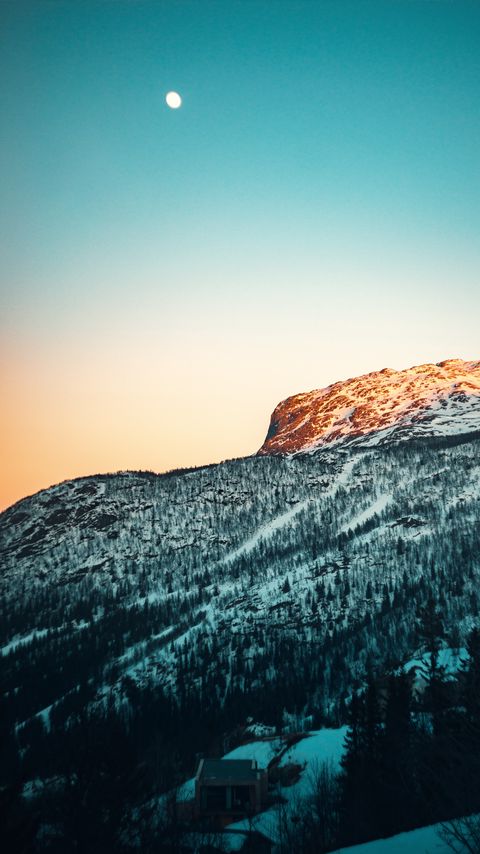 Download wallpaper 2160x3840 mountain, snow, slope, trees, nature samsung galaxy s4, s5, note, sony xperia z, z1, z2, z3, htc one, lenovo vibe hd background