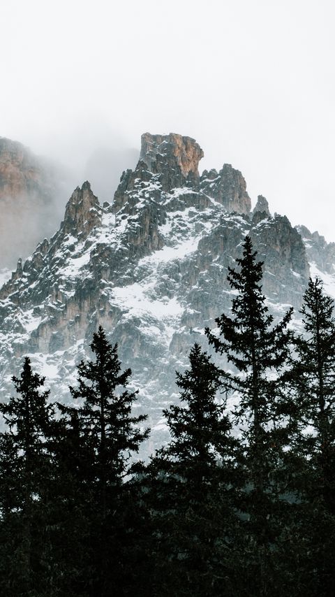 Download wallpaper 2160x3840 mountains, trees, snow, clouds, nature samsung galaxy s4, s5, note, sony xperia z, z1, z2, z3, htc one, lenovo vibe hd background