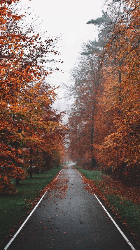 Download wallpaper 2160x3840 pathway, trees, fog, autumn, nature samsung galaxy s4, s5, note, sony xperia z, z1, z2, z3, htc one, lenovo vibe hd background