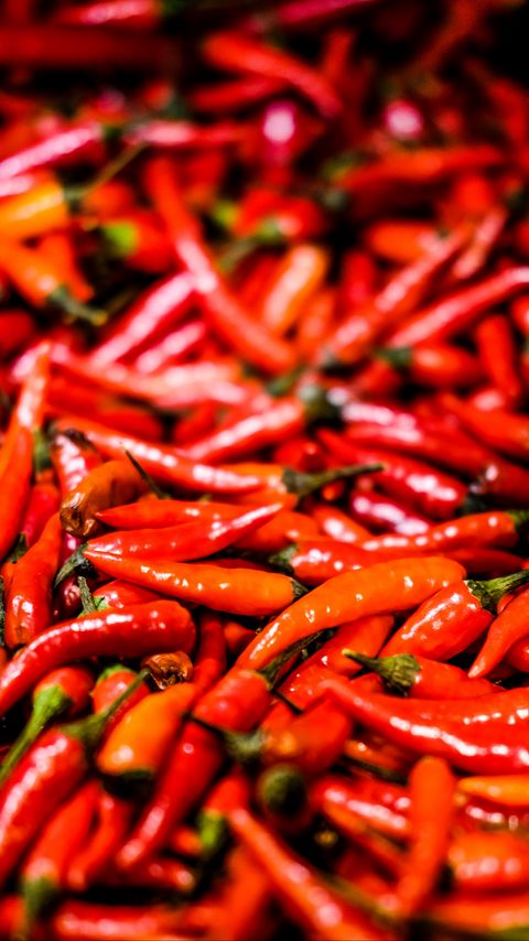 Download wallpaper 2160x3840 pepper, red, vegetable samsung galaxy s4, s5, note, sony xperia z, z1, z2, z3, htc one, lenovo vibe hd background