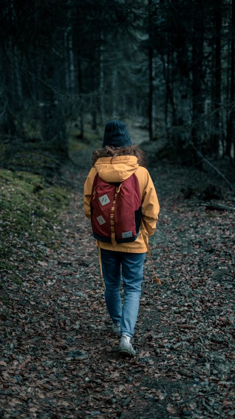 Download wallpaper 2160x3840 person, forest, loneliness, nature, walk samsung galaxy s4, s5, note, sony xperia z, z1, z2, z3, htc one, lenovo vibe hd background