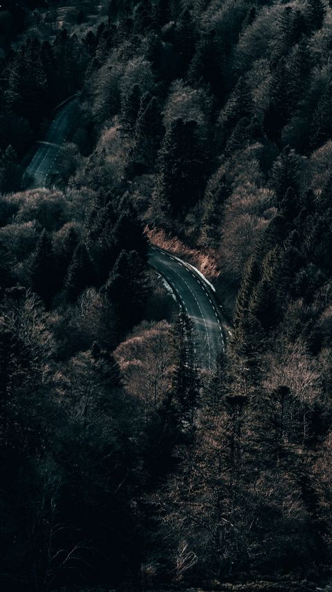 Download wallpaper 2160x3840 road, forest, trees, aerial view samsung galaxy s4, s5, note, sony xperia z, z1, z2, z3, htc one, lenovo vibe hd background