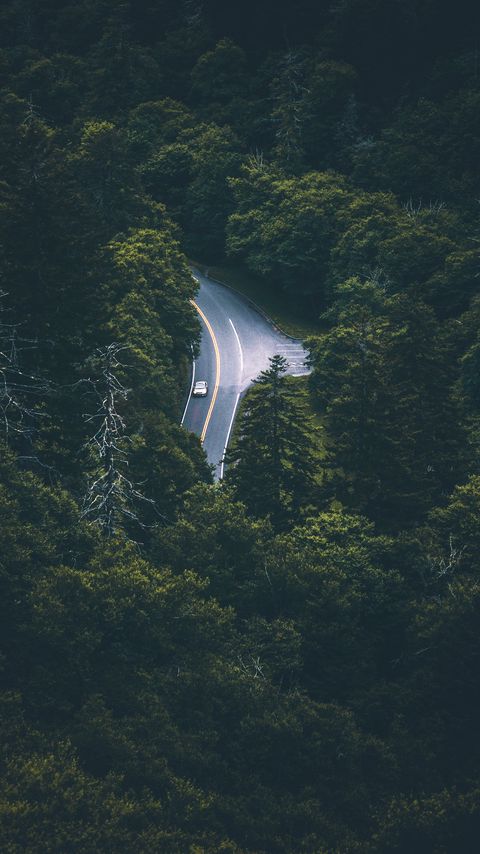 Download wallpaper 2160x3840 trees, car, road, aerial view, movement samsung galaxy s4, s5, note, sony xperia z, z1, z2, z3, htc one, lenovo vibe hd background