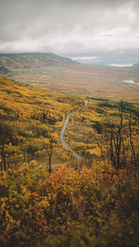 Download wallpaper 2160x3840 valley, road, aerial  view, forest, mountains samsung galaxy s4, s5, note, sony xperia z, z1, z2, z3, htc one, lenovo vibe hd background
