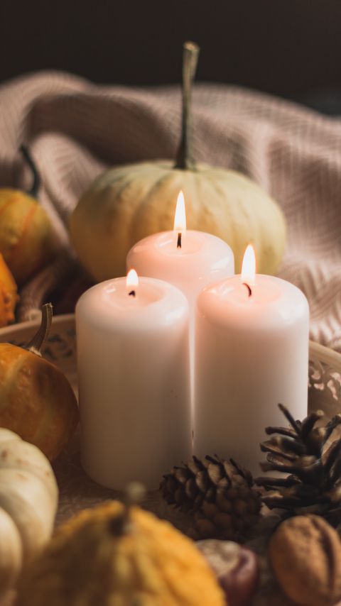 Download wallpaper 2160x3840 candles, flame, pumpkins, cones, cloth samsung galaxy s4, s5, note, sony xperia z, z1, z2, z3, htc one, lenovo vibe hd background