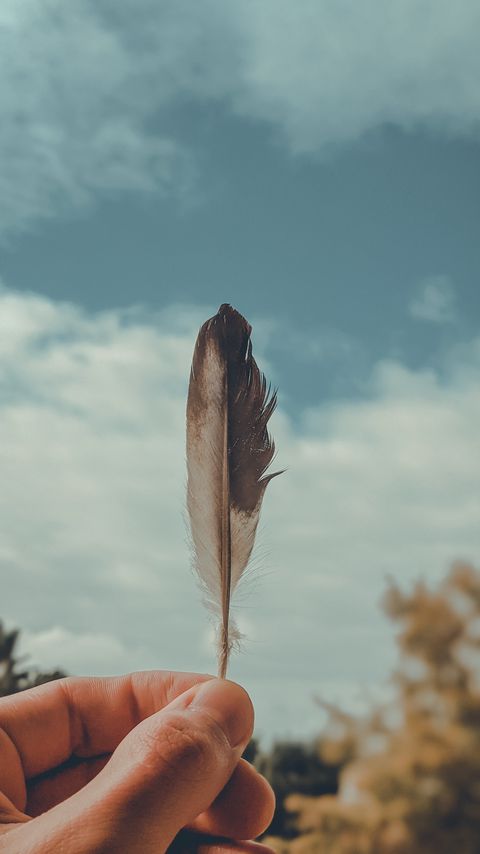Download wallpaper 2160x3840 feather, macro, hand, focus hd background