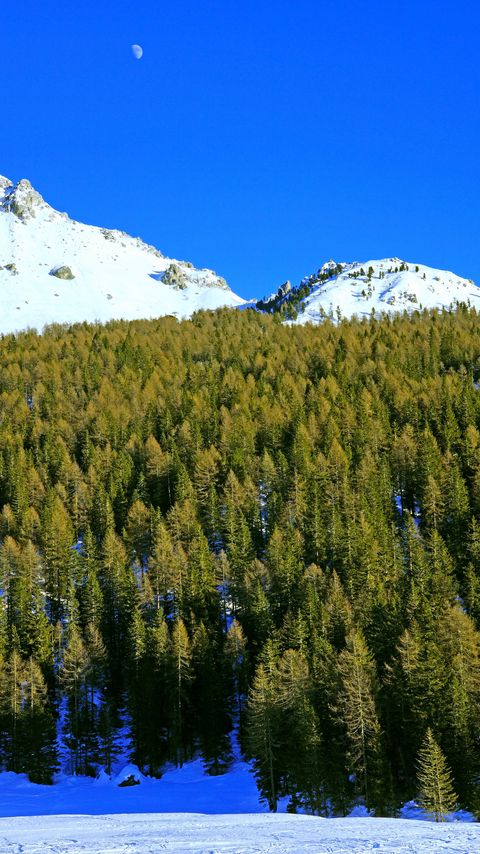 Download wallpaper 2160x3840 mountains, forest, trees, snow, snowy, moon samsung galaxy s4, s5, note, sony xperia z, z1, z2, z3, htc one, lenovo vibe hd background