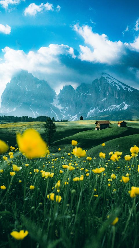Download wallpaper 2160x3840 mountains, vast, field, flowers, structure samsung galaxy s4, s5, note, sony xperia z, z1, z2, z3, htc one, lenovo vibe hd background