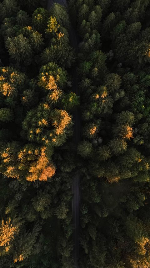 Download wallpaper 2160x3840 road, trees, aerial view, forest, nature samsung galaxy s4, s5, note, sony xperia z, z1, z2, z3, htc one, lenovo vibe hd background