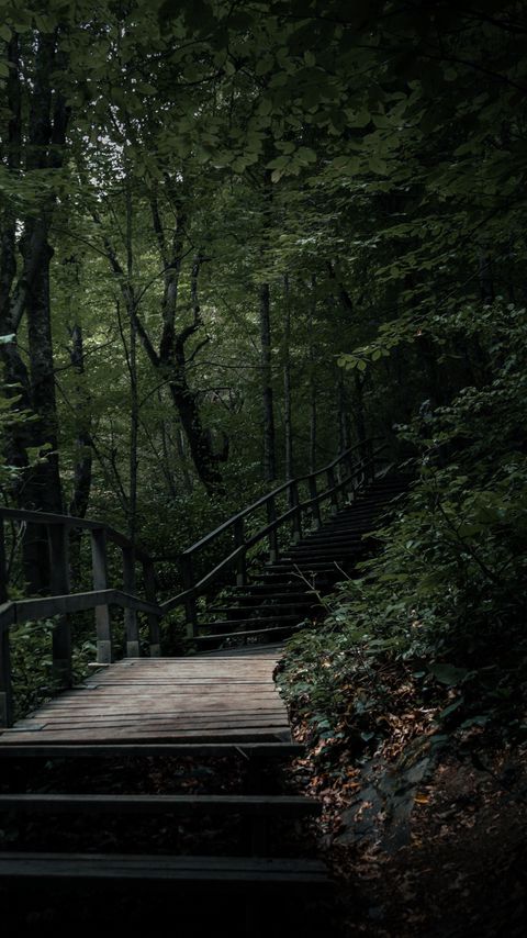 Download wallpaper 2160x3840 stairs, steps, trees, nature samsung galaxy s4, s5, note, sony xperia z, z1, z2, z3, htc one, lenovo vibe hd background