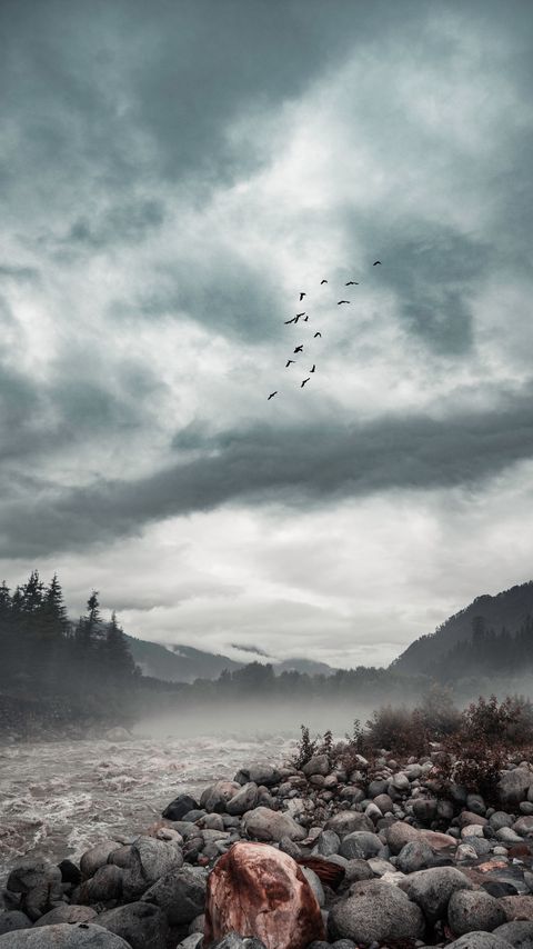 Download wallpaper 2160x3840 stones, river, fog, forest, trees samsung galaxy s4, s5, note, sony xperia z, z1, z2, z3, htc one, lenovo vibe hd background