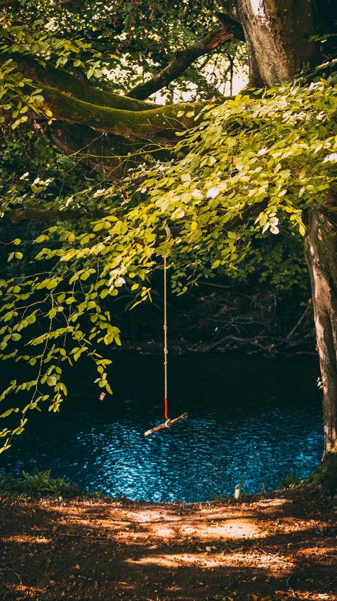 Download wallpaper 2160x3840 swing, rope, tree, branches, river samsung galaxy s4, s5, note, sony xperia z, z1, z2, z3, htc one, lenovo vibe hd background